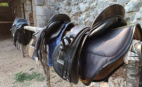 Horse Riding Herzegovina
