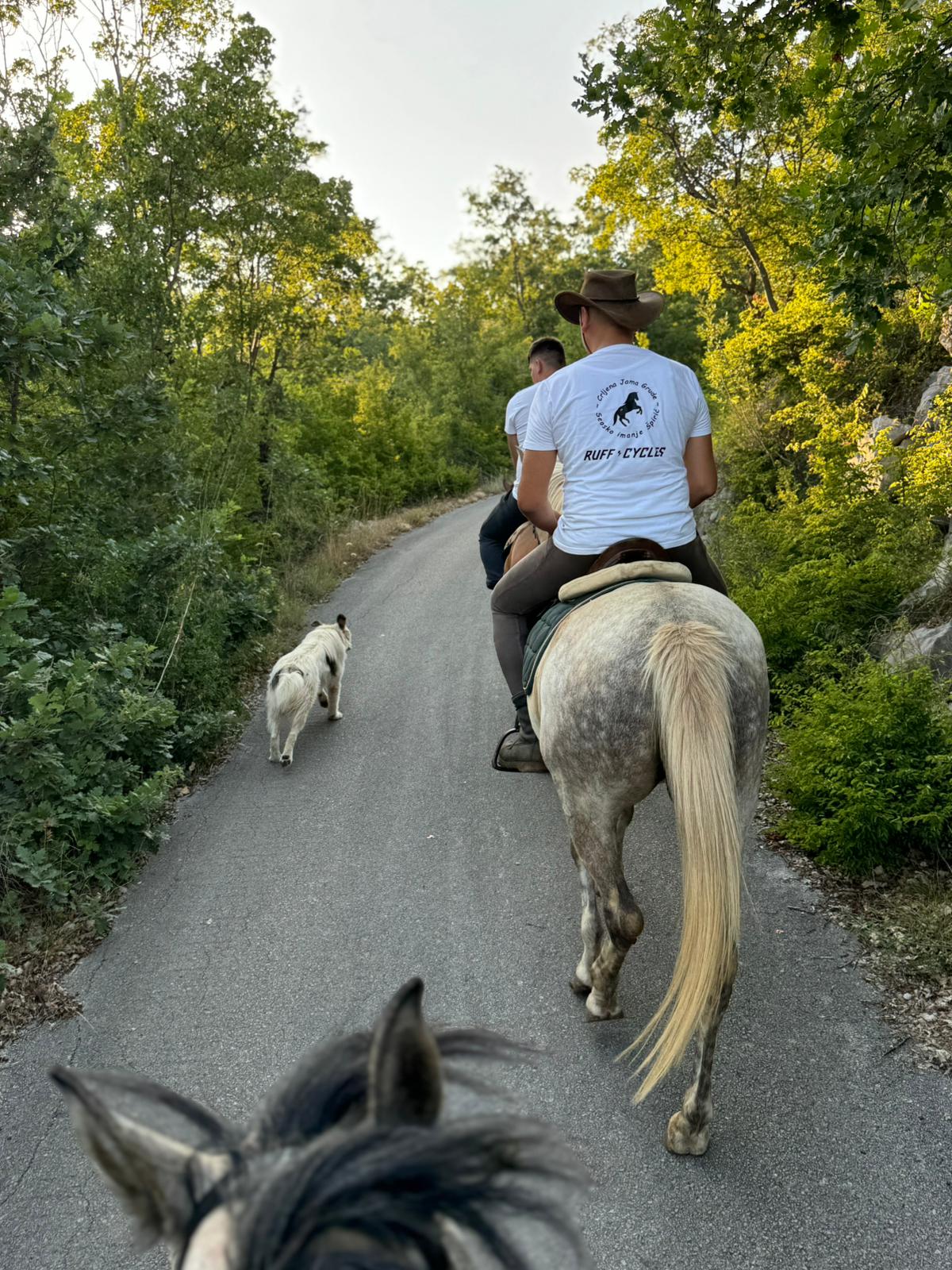 Horseback Riding